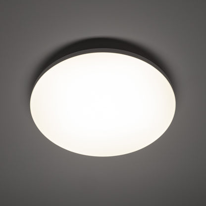 Lubinis šviestuvas DENIA LED M SENSOR 11761