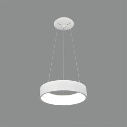 Modernus Pakabinamas šviestuvas "Dilga" 27W C3450170B