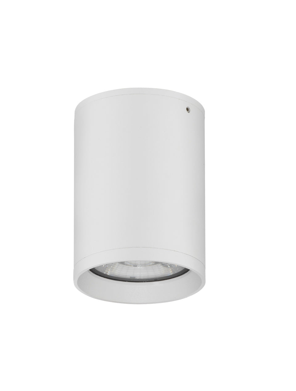 Lauko lubinis šviestuvas DARA baltas IP54 9136179