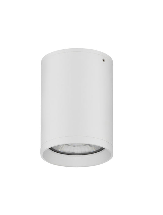 Lauko lubinis šviestuvas DARA baltas IP54 9136179
